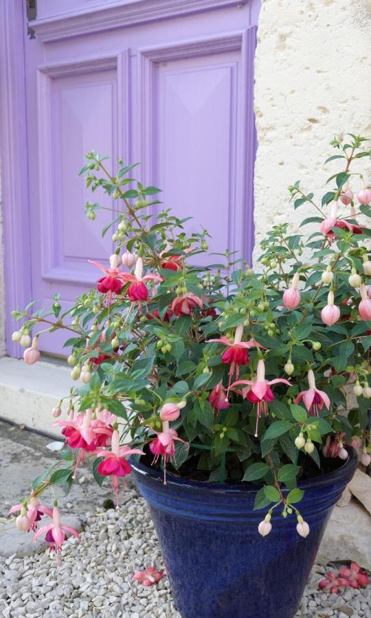 Gite Rural La Maison Mauve Ventouse Екстериор снимка